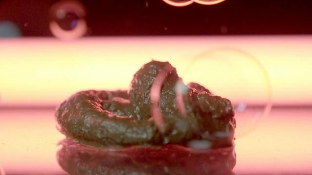 The Treasure in Our Sewers