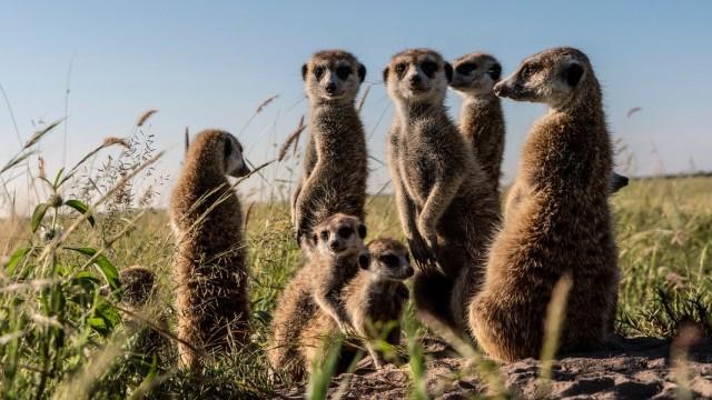 Naturwunder Okawango (3): Mündung in der Wüste