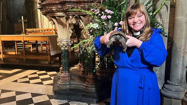 All Creatures Great and Small