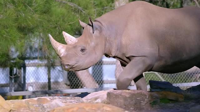 Whos Poo In the Zoo