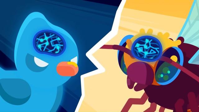 Do Animals Have Minds like Humans?