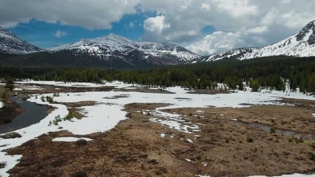 Horror in Yosemite