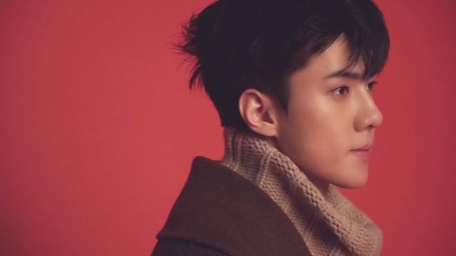 2018 SM ARTIST SEASON’S GREETINGS Teaser (EXO)
