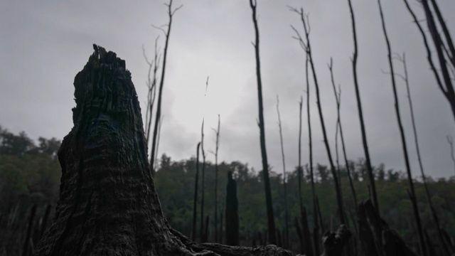 The Storm
