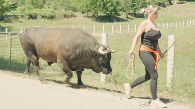 Die Königin des Stierkampfes