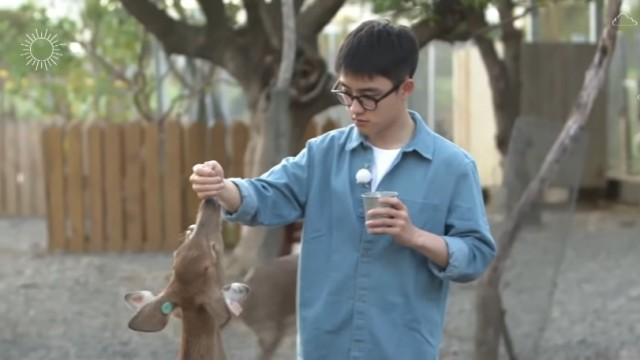 [EXO의 사다리 타고 세계여행 2 I 21화~25화 예고] 엑망진창! feat.사슴랜드