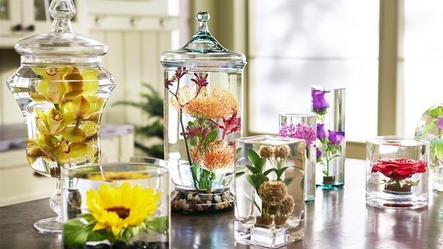 Water: Nature’s Life Force