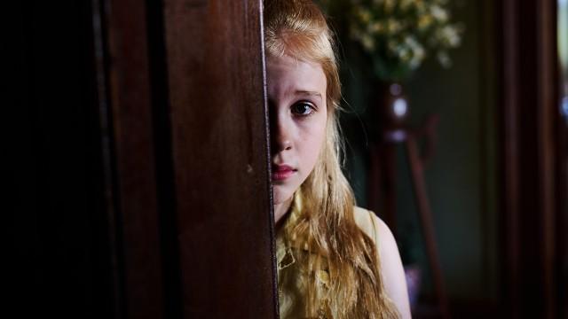 Part 3: Lantern Bush