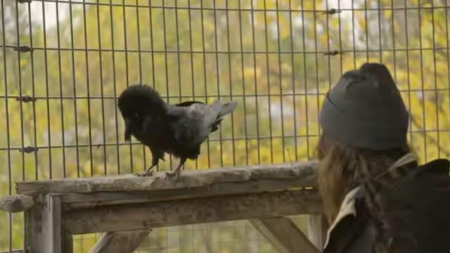 La famille du zoo