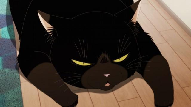 The Masterful Cat Takes Care of its Health