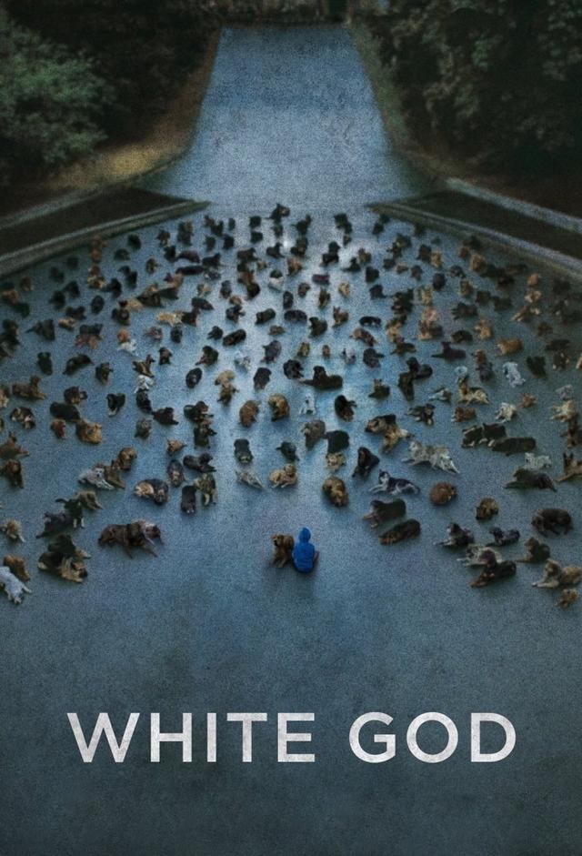 White God