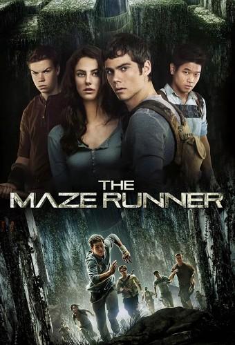 The Maze Runner