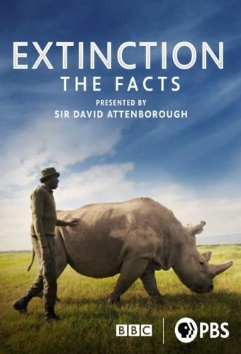 Extinction: The Facts