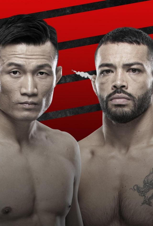 UFC Fight Night: Jung vs. Ige