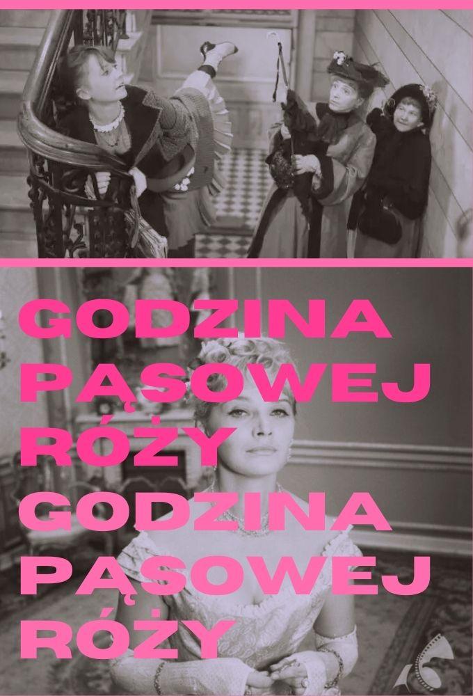 Godzina pąsowej róży