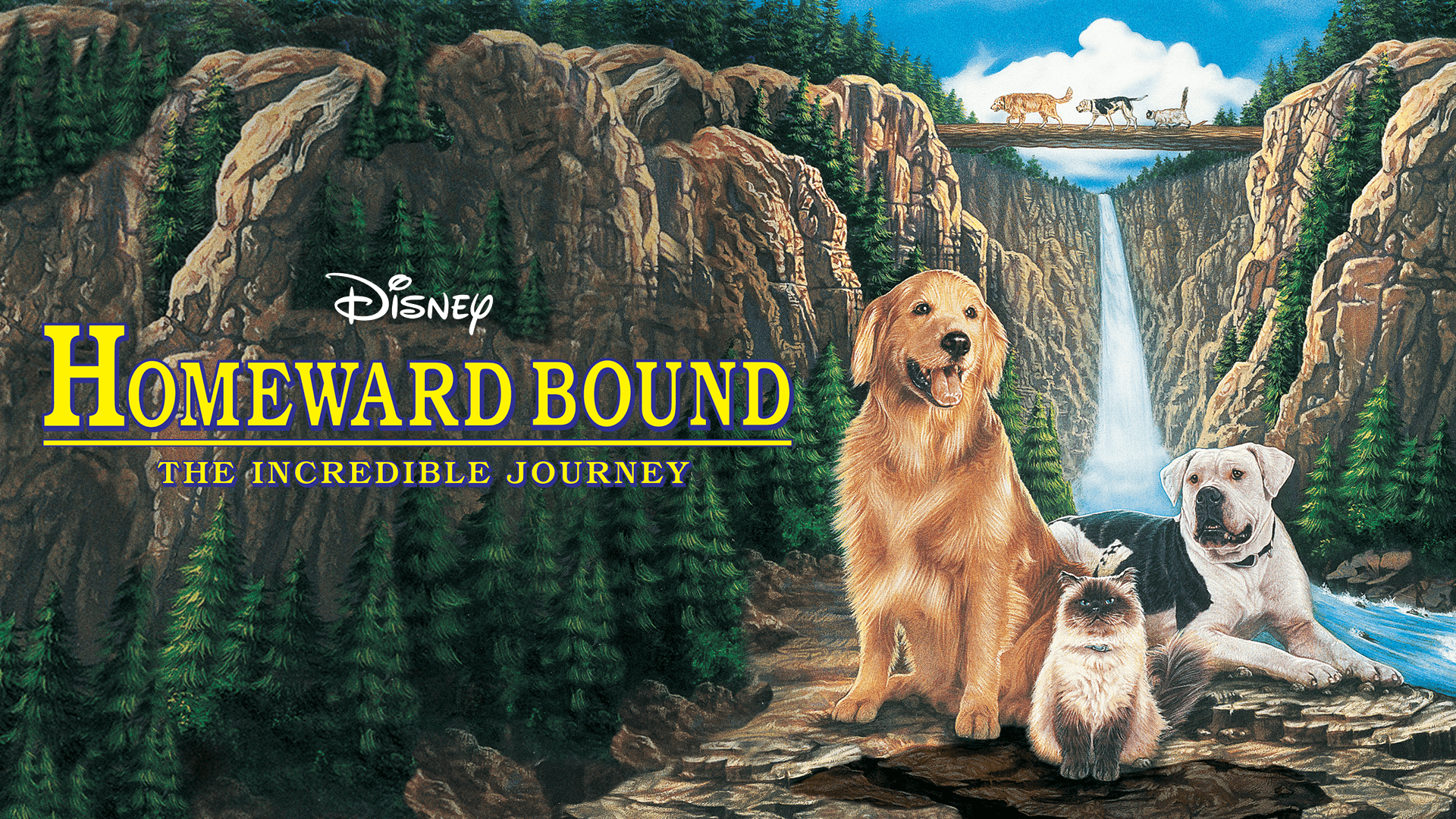Homeward Bound: The Incredible Journey