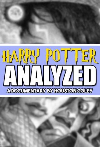 The Harry Potter Saga Analyzed