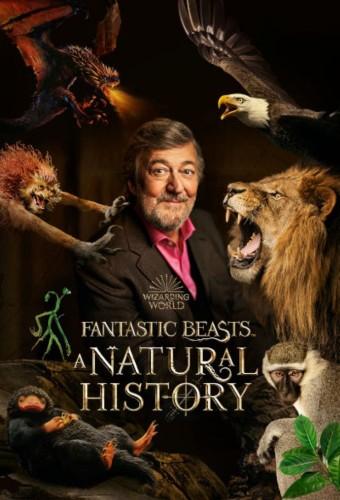 Fantastic Beasts: A Natural History