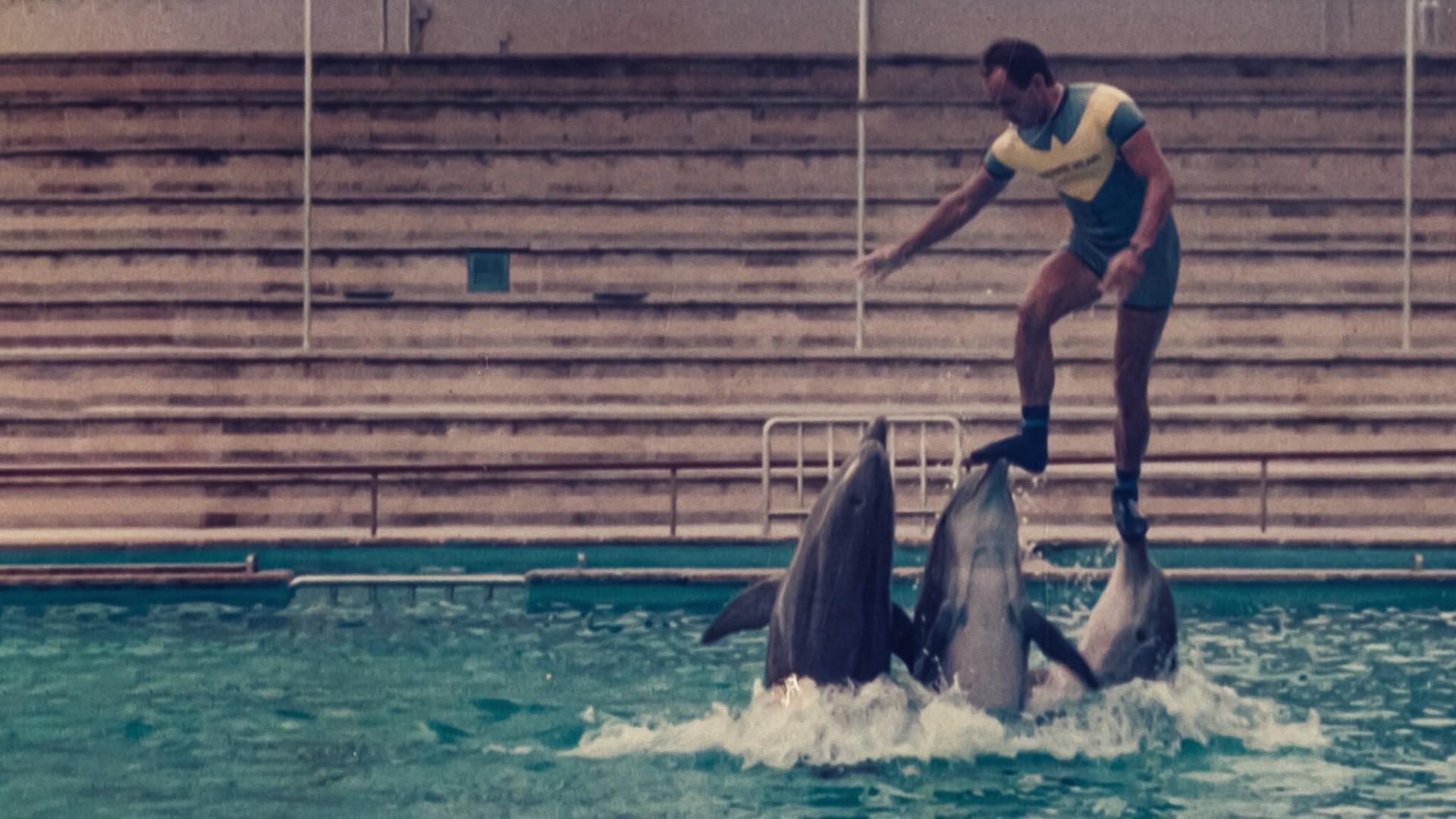 L'ultimo re dei delfini