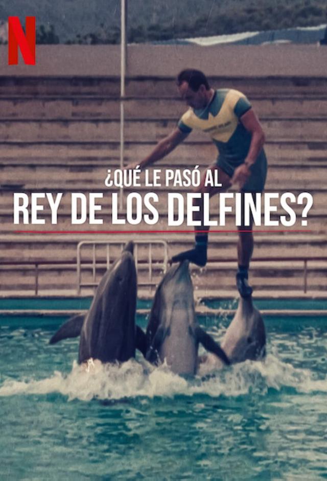 L'ultimo re dei delfini