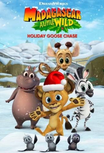 Madagascar: A Little Wild Holiday Goose Chase