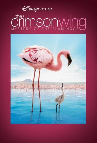 The Crimson Wing: Mystery of the Flamingos