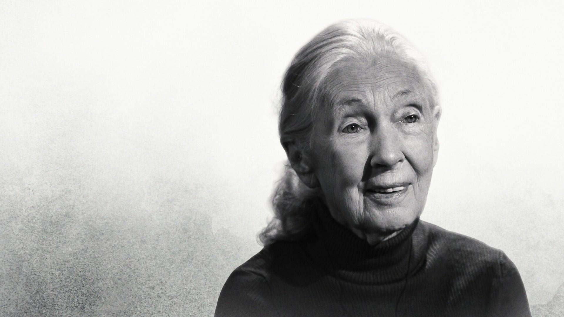 Famous Last Words: Dr. Jane Goodall