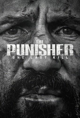 The Punisher: One Last Kill