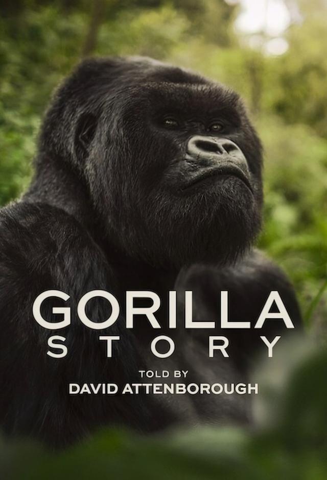 A Gorilla Story: Told by David Attenborough