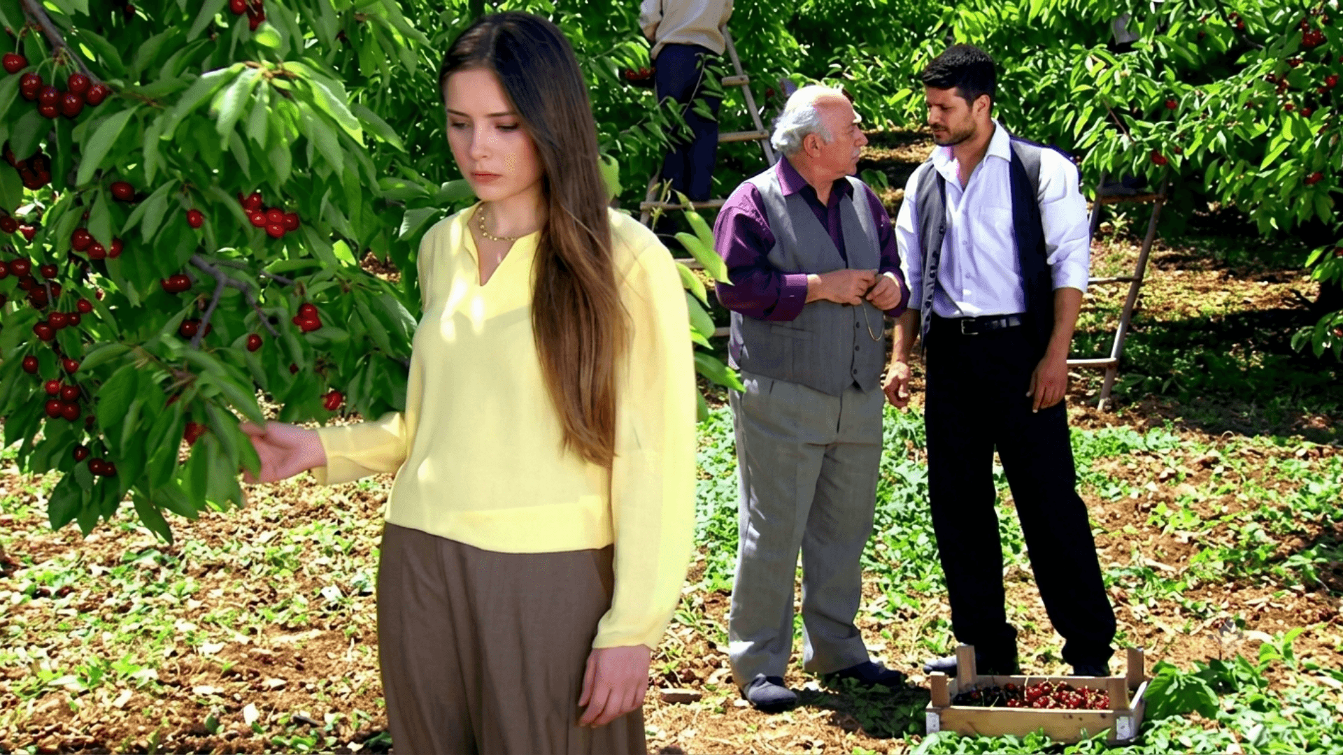 Zeytinyağlı Yiyemem Aman