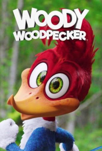 Woody Woodpecker