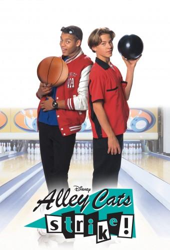 Alley Cats Strike