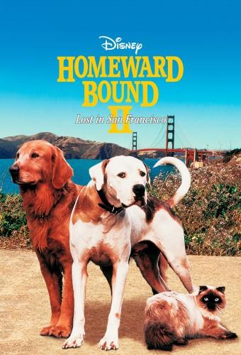 Homeward Bound II: Lost in San Francisco