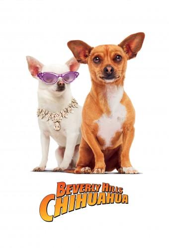 Beverly Hills Chihuahua