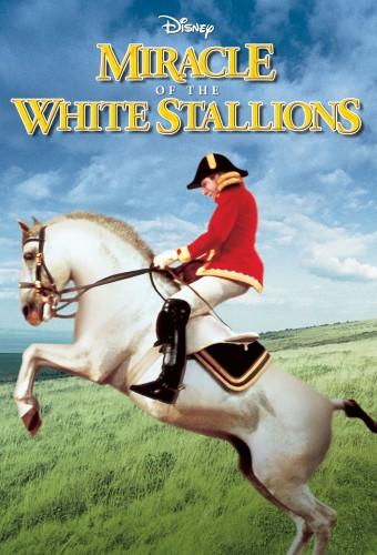 Miracle of the White Stallions