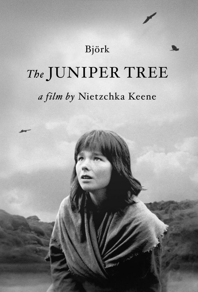 The Juniper Tree