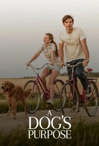 A Dog's Purpose