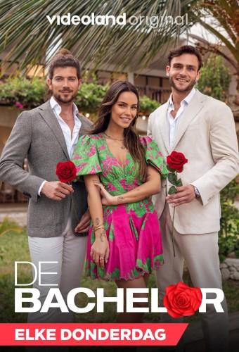 The Bachelor (NL)