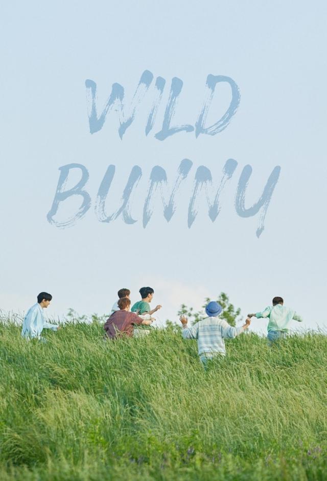 2PM: Wild Bunny