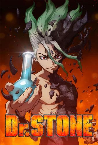 Dr. STONE