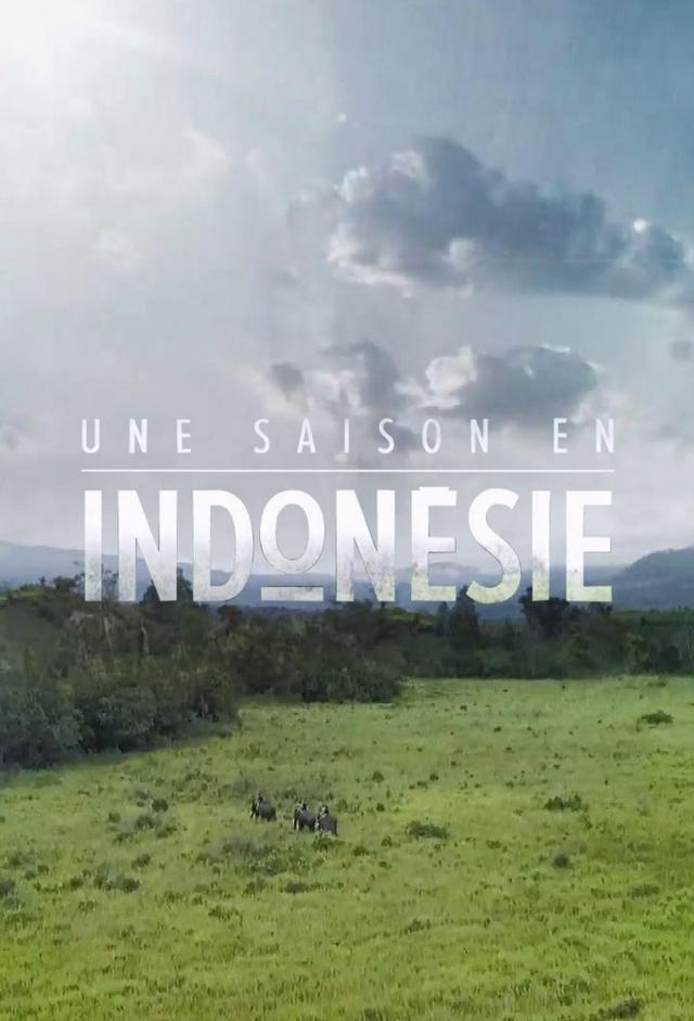 Une saison en Indonésie