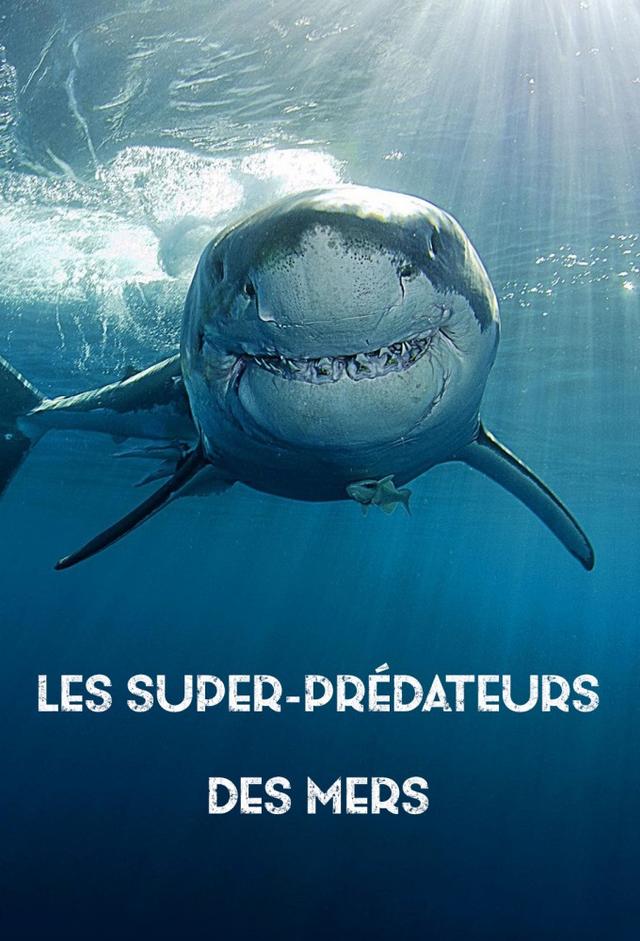 Genius Sea Hunters