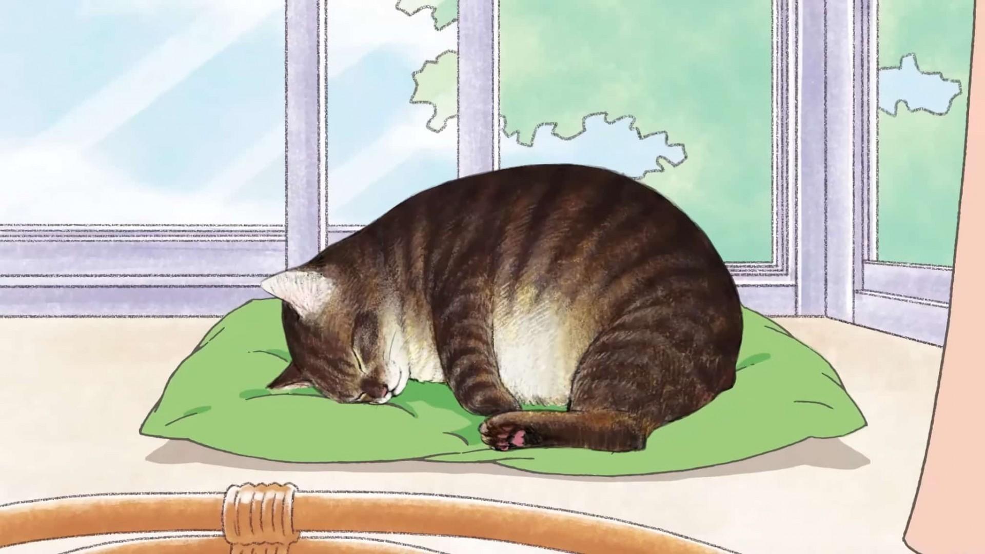 I'm Tsushima the Cat