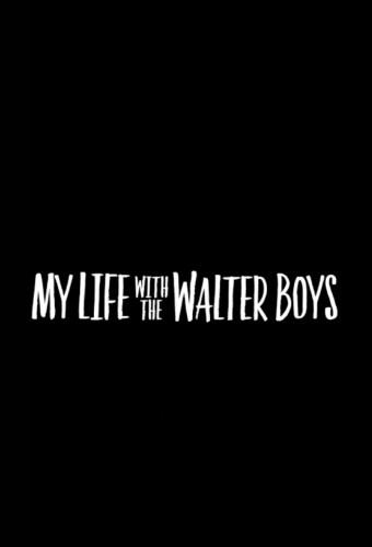 My Life with the Walter Boys