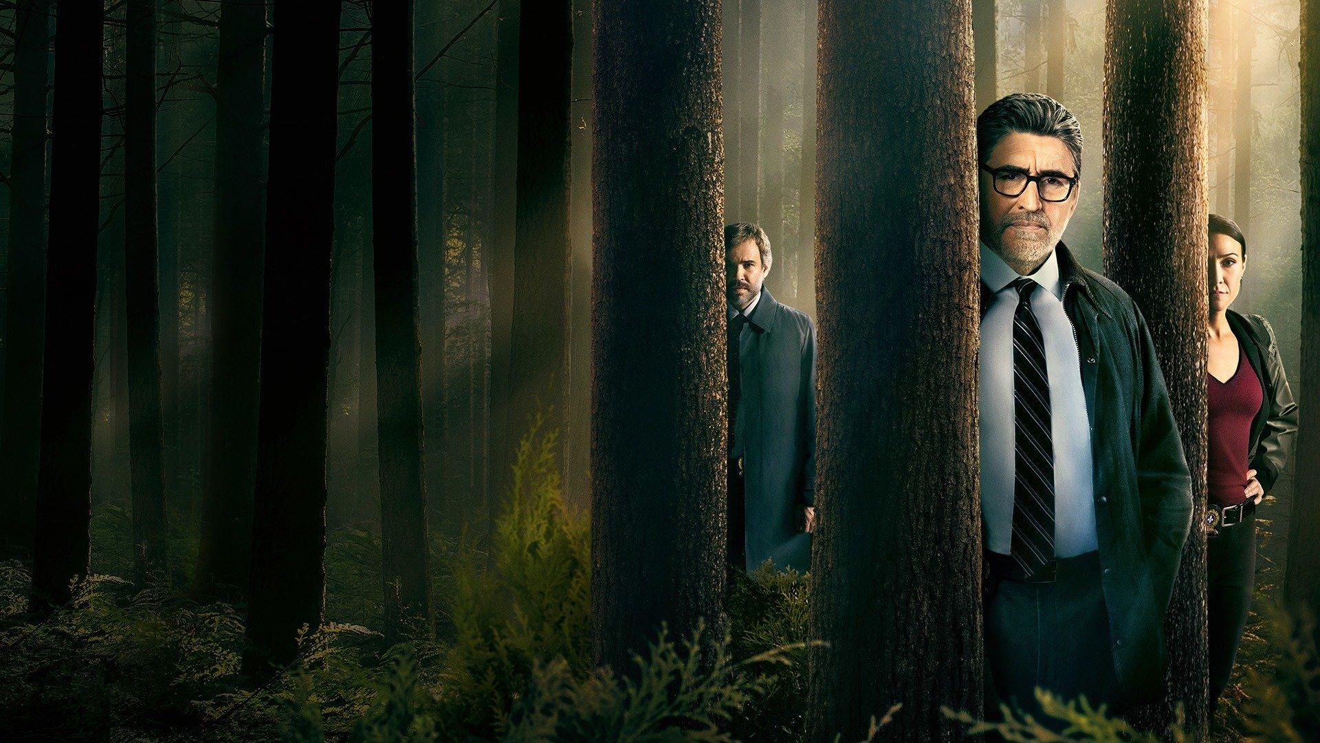 Il Commissario Gamache - Misteri a Three Pines