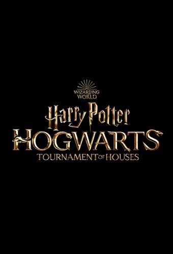 Harry Potter: Hogwarts Tournament of Houses