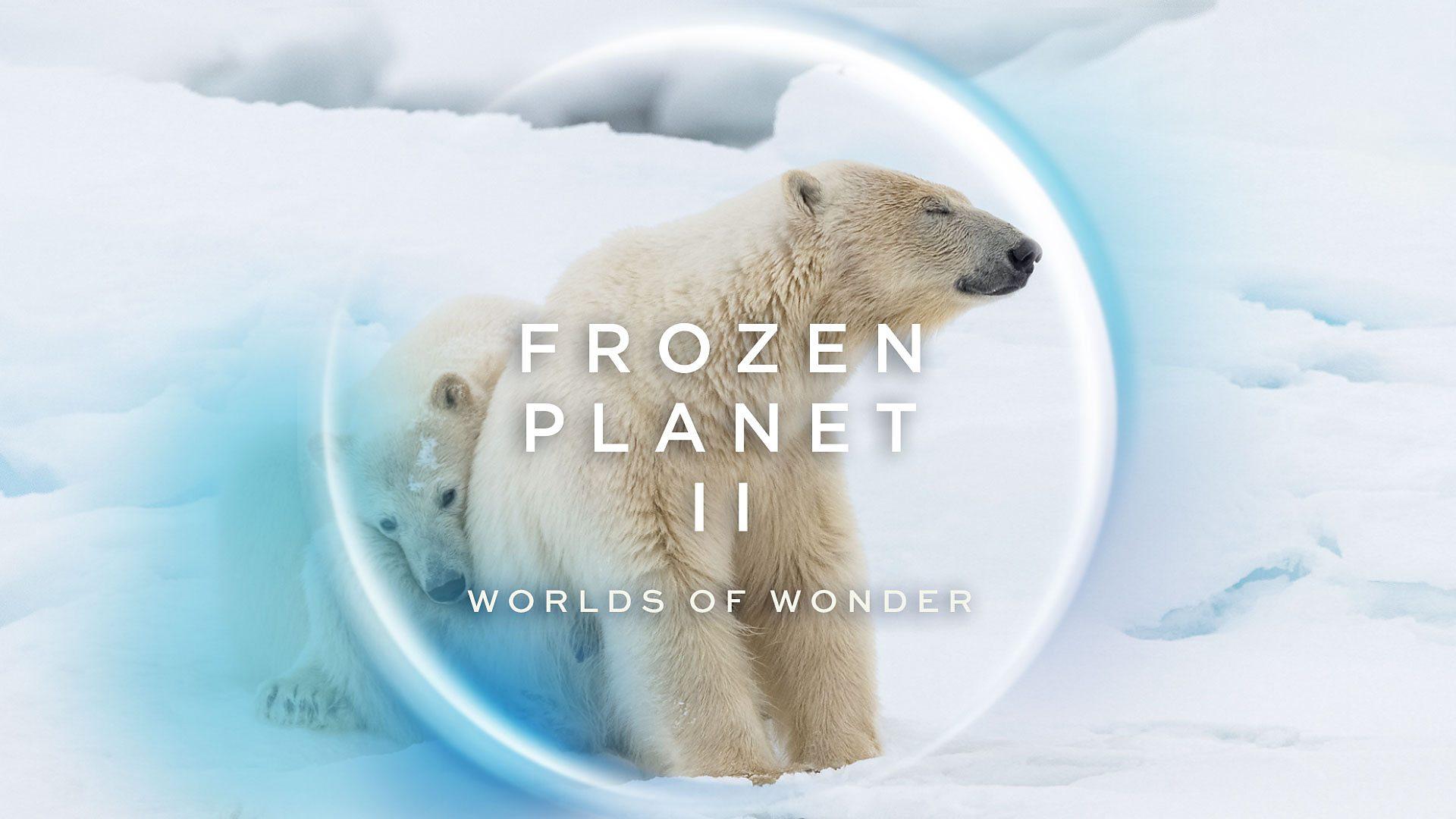 Frozen Planet II