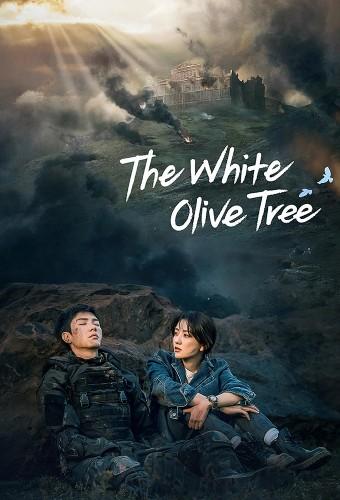 The White Olive Tree