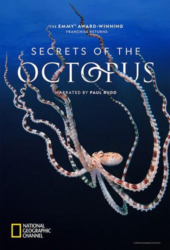 Secrets of the Octopus