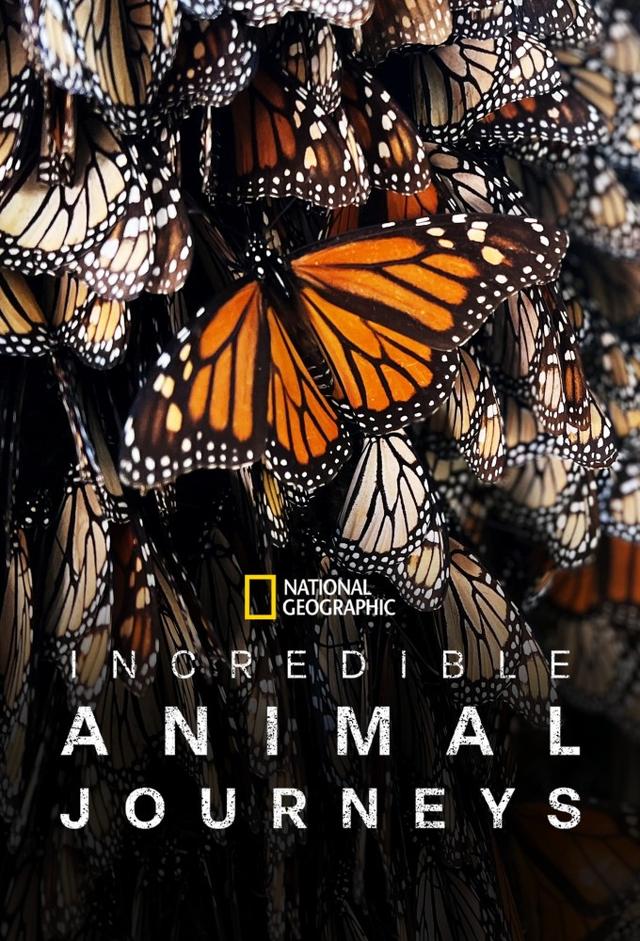 Incredible Animal Journeys (2023)